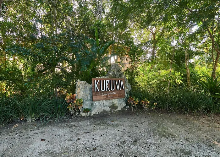 Tortuga Lux 4 Bdr Big Garden*pool *cenote *